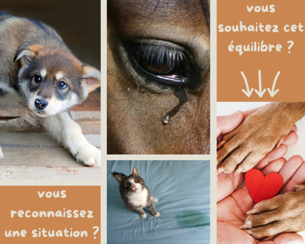 Cela vous parle ?
