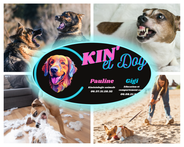 Kin'et Dog