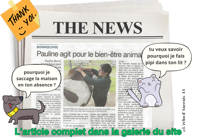l'echo d'Ancenis